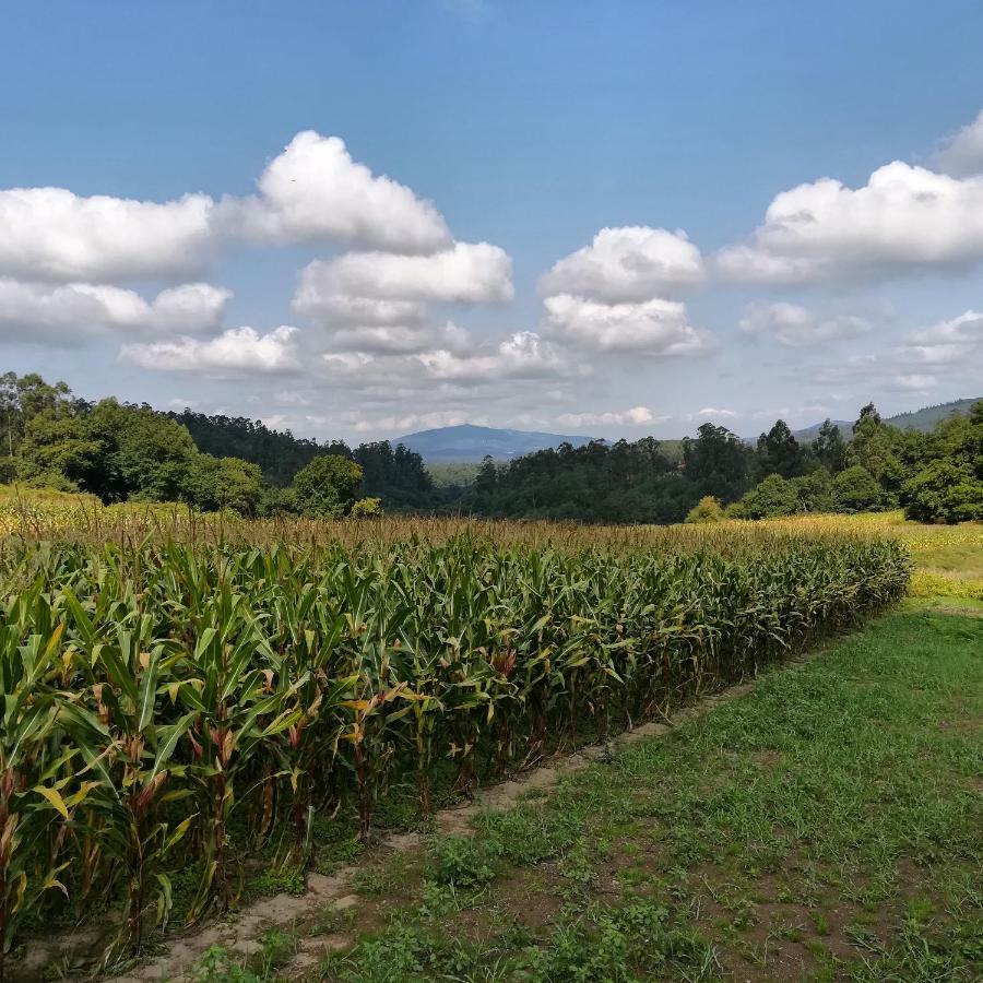 Vilacoba O Curralinoゲストハウス エクステリア 写真